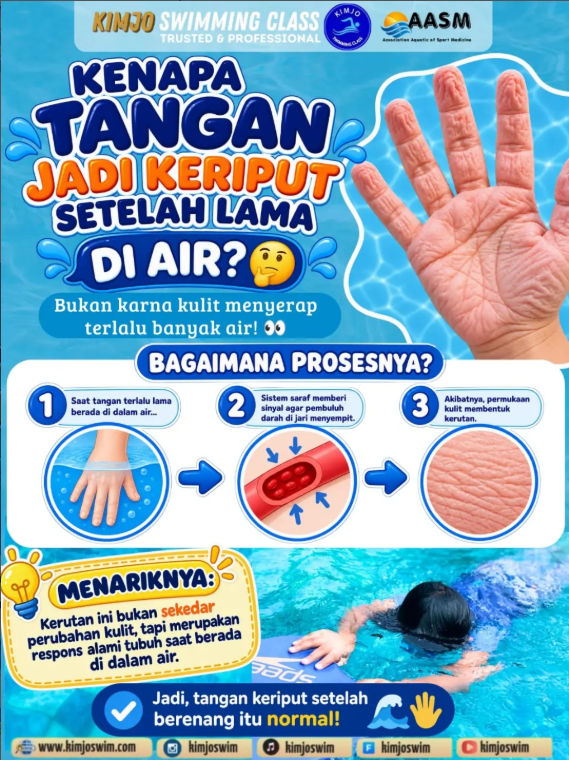 Mekanisme Saraf Penyebab Tangan Keriput Setelah Berenang dari Kimjoswim Depok